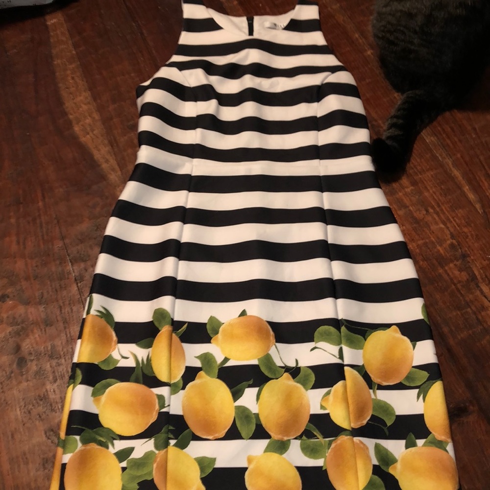 MILLY Stretch Striped Scuba Sheath w Lemons
